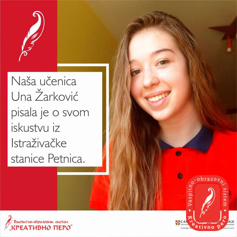 Моје искуство у Истраживачкој станици Петница